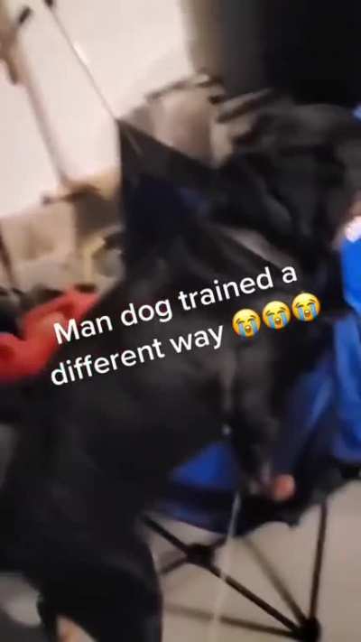 blursed_dawg