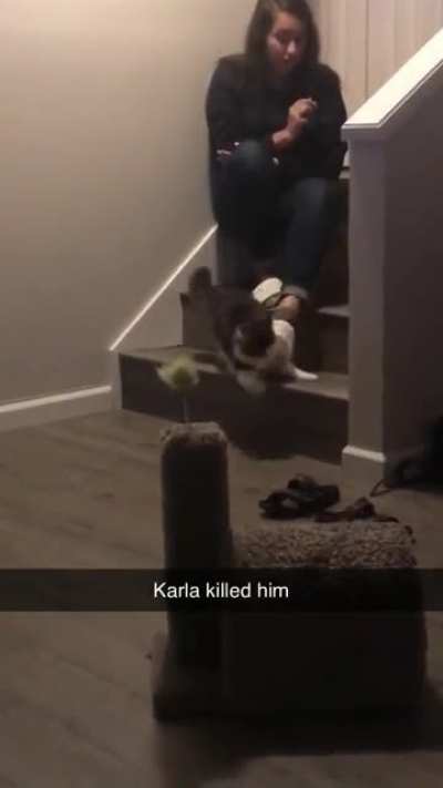 InNoCeNt CaT tHrOwN dOwN sTaIrS bY oWnEr