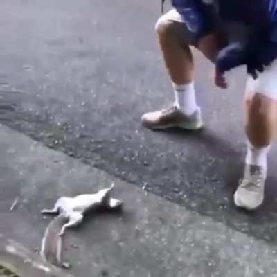 Nuts