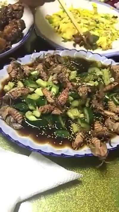 "What did you have for lunch today?" "Oh nothing just some live moths."