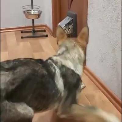 Вы кто такие? Я вас не звал...