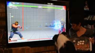 Smash players.