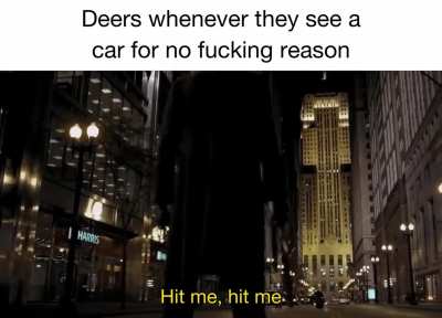 They&rsquo;re all masochists