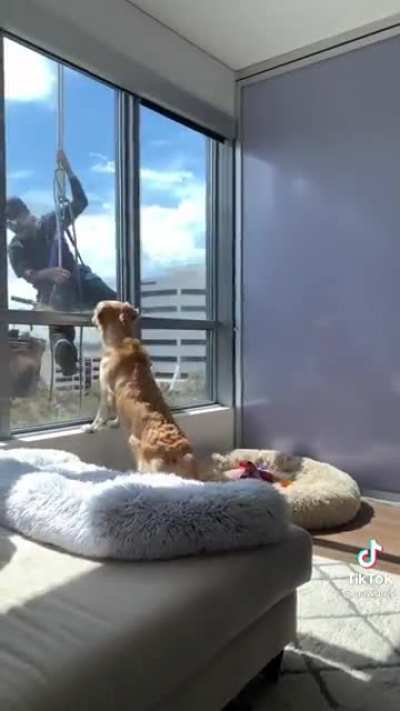 Window cleaning
