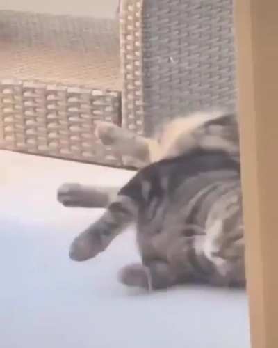 New Way to Hunt