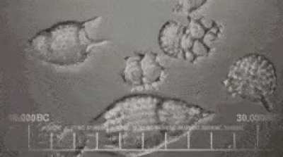 here's a gif of the big bang theory intro