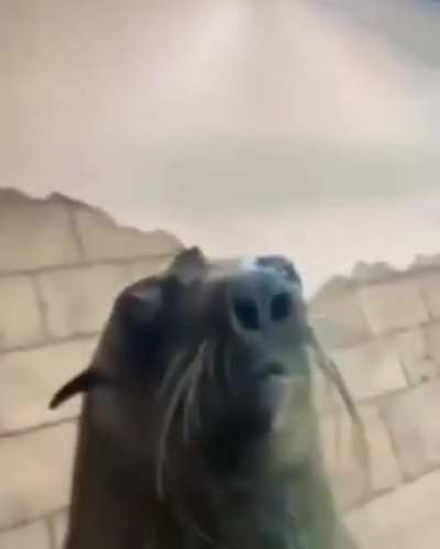 😁