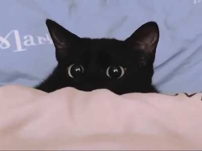 Planning an attack