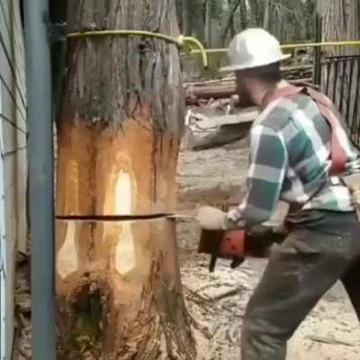 And that&rsquo;s why you hire a pro!