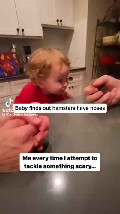 Baby finds out hamsters have noses 