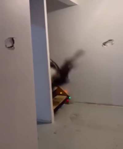 Falling down the stairs drunk