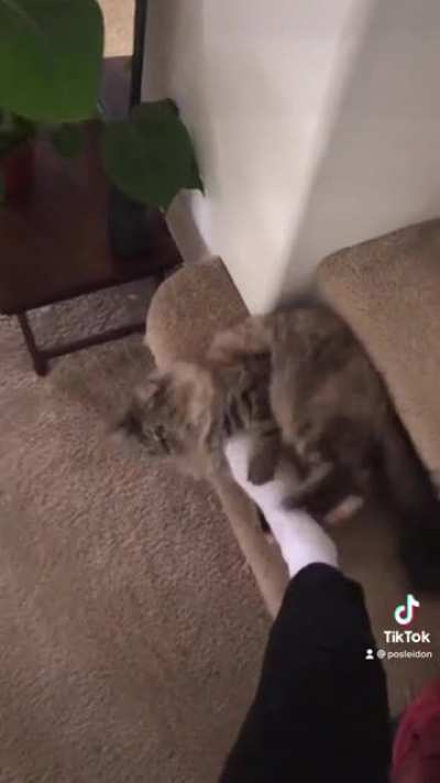 Kick