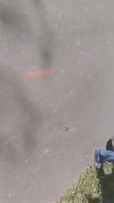 Питбуль против лошади