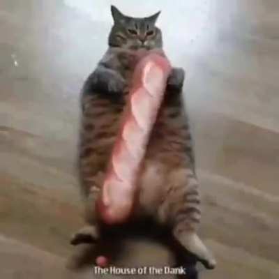 oui