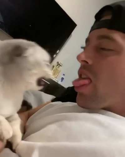 It Was At This Moment The Cat Realised, It Fucked Up.
