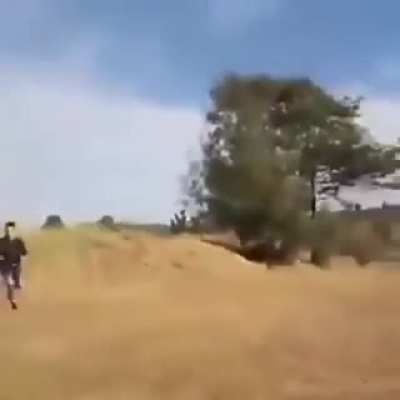 Weon