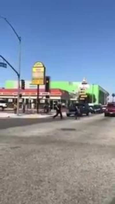 Woman vs cop