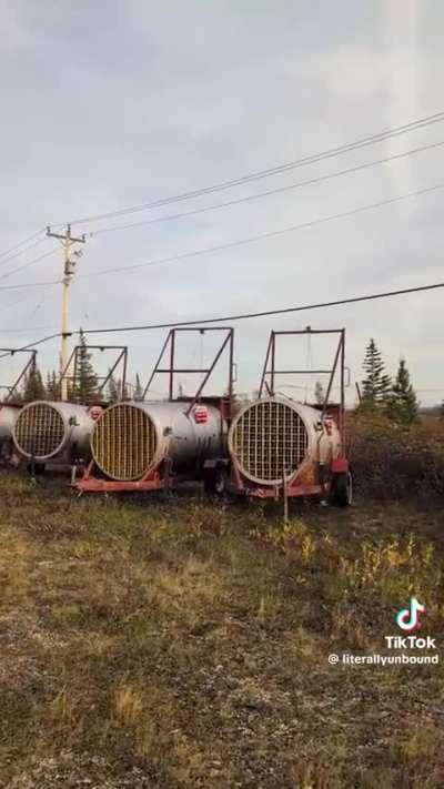 Polar Bear Jail