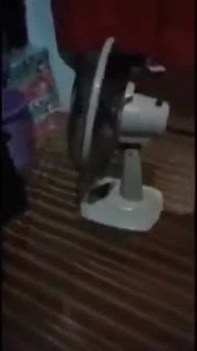 Ventilador Coringa
