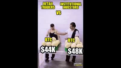 Bitcoin retail investors vs institutional investors