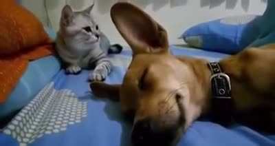 How dare you farting while I'm here.