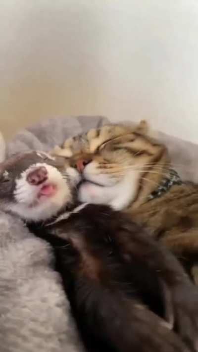 Warm and soft