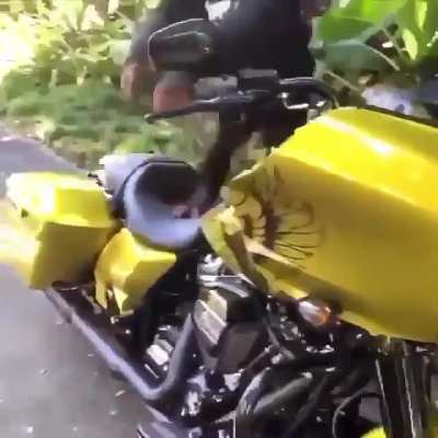 macaco motoqueiro