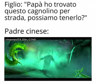 Questo post &egrave; un cane
