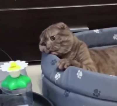 She is in very sad...