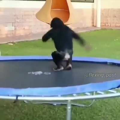 Puta primera vez que public&oacute; aqu&iacute; xd