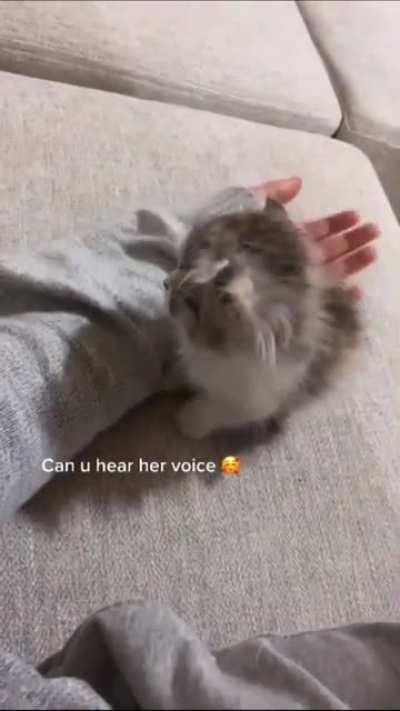 Sound on 🥺