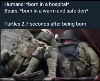 Welcome to the world