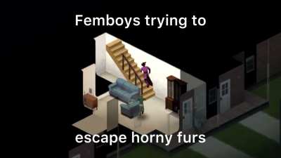 furry_irl