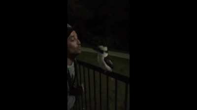 Aussie kisses bird after an intense buildup (date-night)