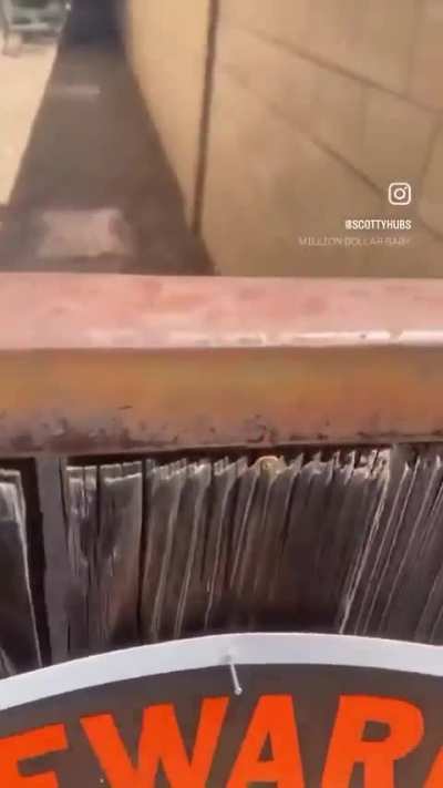 "Vou colocar um cachorro para defender a casa"/// O cachorro: