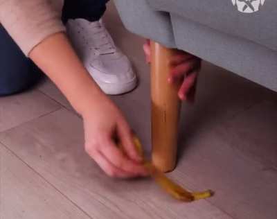 Moving sofas is hard. But when you&rsquo;ve got four bananas