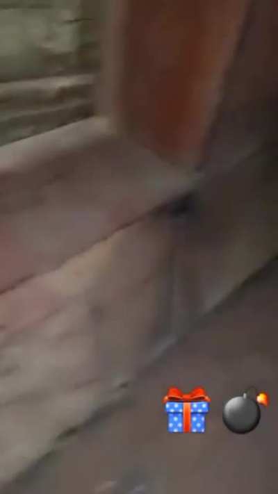POV: inside a shitty technical