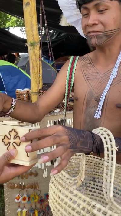 E a Amaz&ocirc;nia t&aacute; como ? 