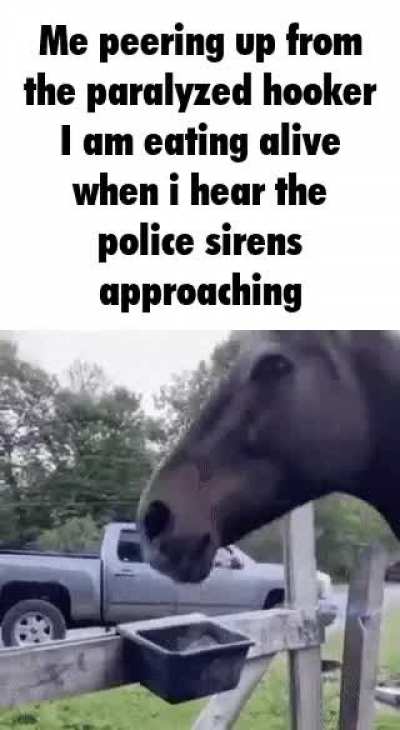 Hooked On Hookers