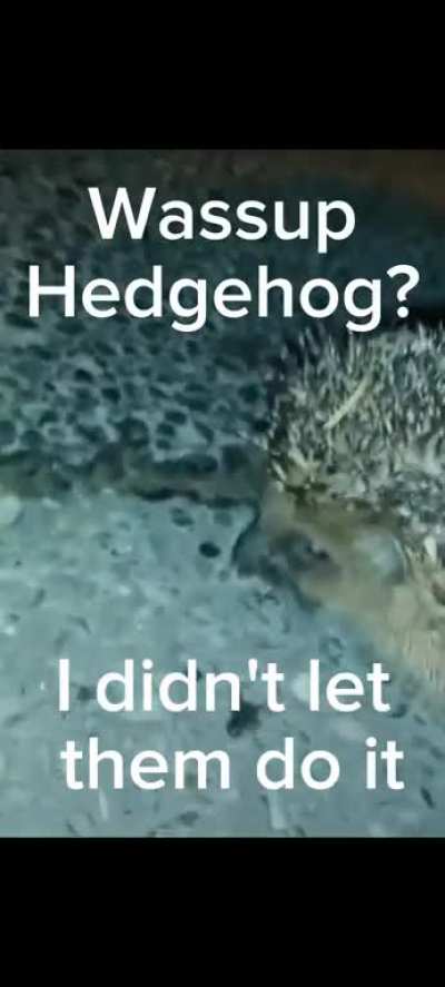 ðµð±ð¤ð¦