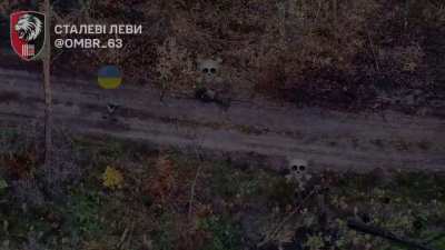 Ukrainian soldiers took out Russian soldiers in close combat. Lyman direction, October 2025, 63rd Mechanized Brigade. Published 17.10.2025