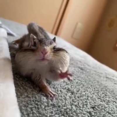Monday mood