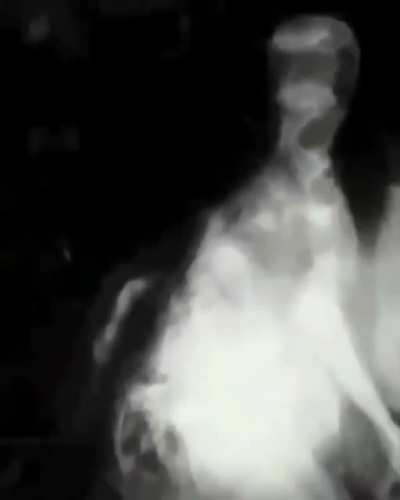 Cursed_SCP-3199