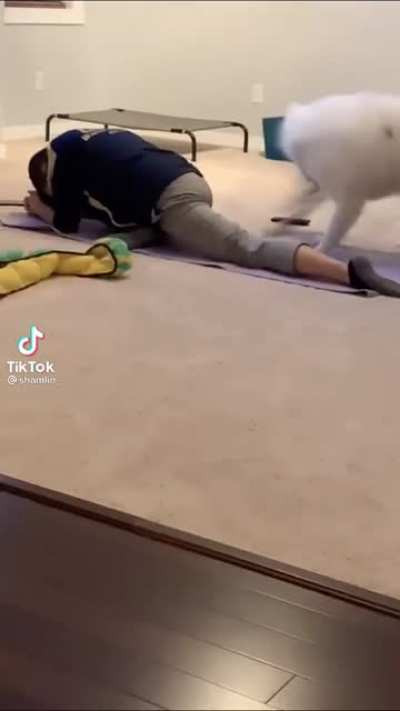Can&lsquo;t stop watching this