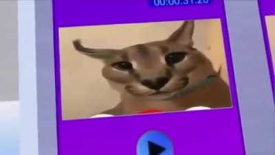 Ifloopa