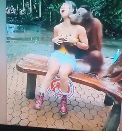 Monke in love