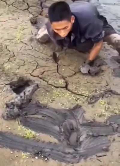 Geologussy