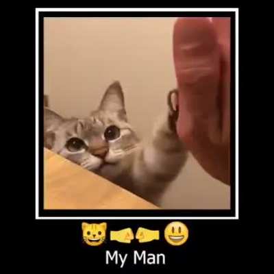 😺🤜🤛😃