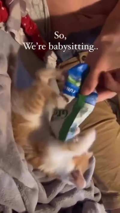 So, we're babysitting...
