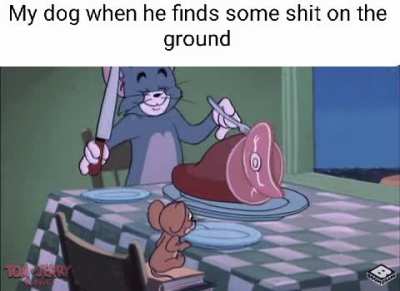 He acts like u don't feed him